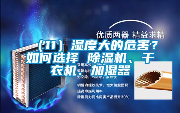 （11）濕度大的危害？如何選擇 除濕機(jī)、干衣機(jī)、加濕器