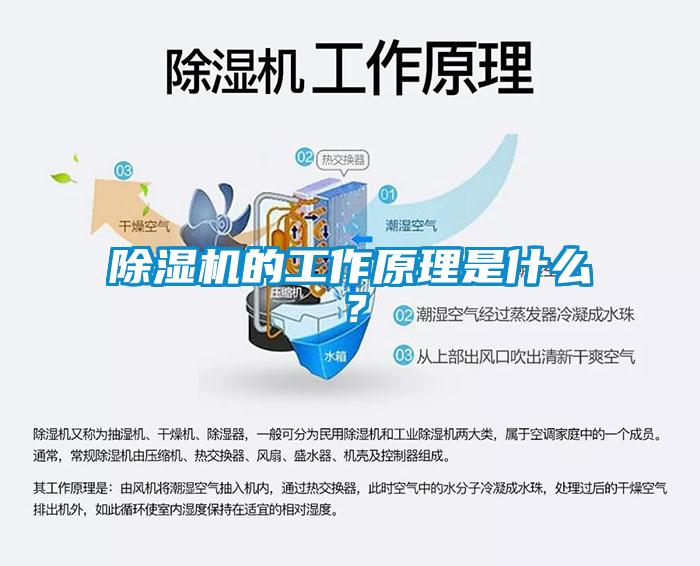 除濕機的工作原理是什么？
