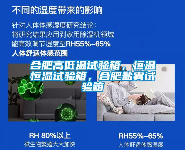 合肥高低溫試驗(yàn)箱，恒溫恒濕試驗(yàn)箱，合肥鹽霧試驗(yàn)箱