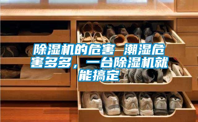 除濕機(jī)的危害 潮濕危害多多，一臺(tái)除濕機(jī)就能搞定