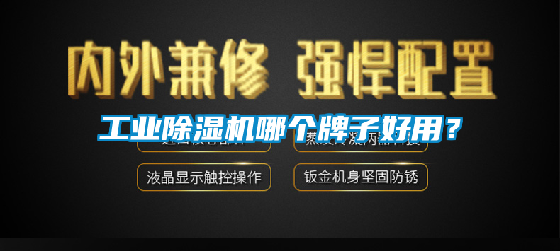 工業(yè)除濕機哪個牌子好用？
