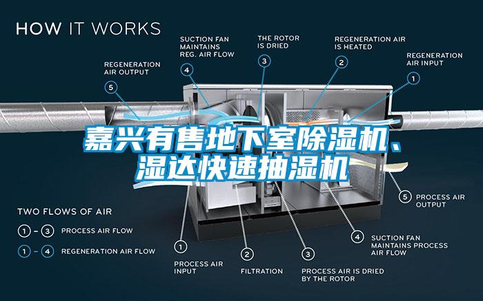 嘉興有售地下室除濕機(jī)、濕達(dá)快速抽濕機(jī)