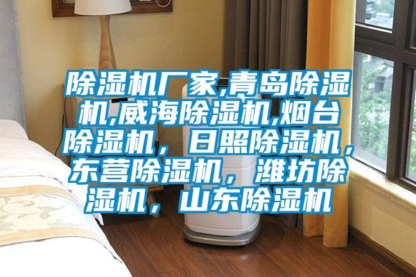 除濕機廠家,青島除濕機,威海除濕機,煙臺除濕機，日照除濕機，東營除濕機，濰坊除濕機，山東除濕機