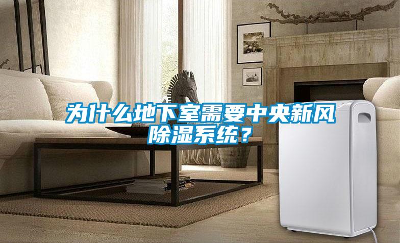 為什么地下室需要中央新風(fēng)除濕系統(tǒng)？