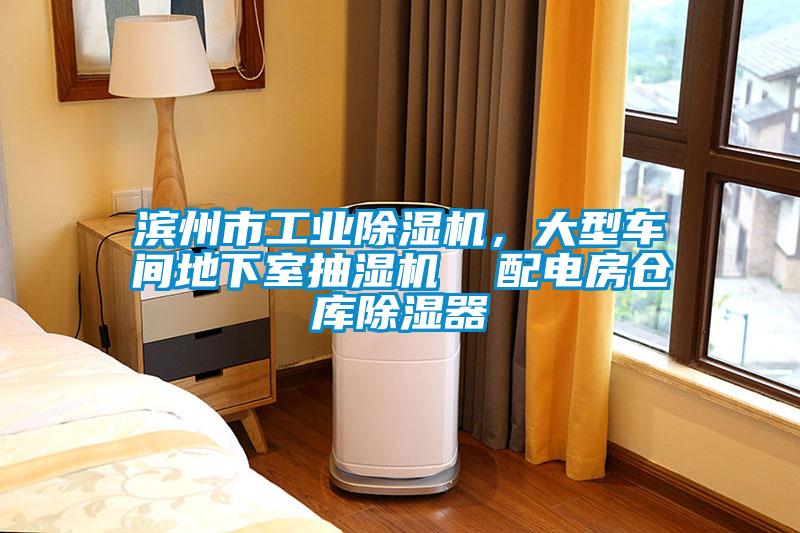 濱州市工業(yè)除濕機，大型車間地下室抽濕機  配電房倉庫除濕器