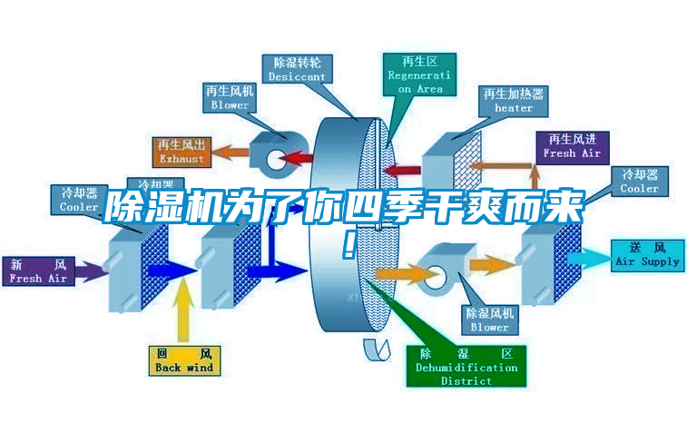 除濕機(jī)為了你四季干爽而來(lái)！