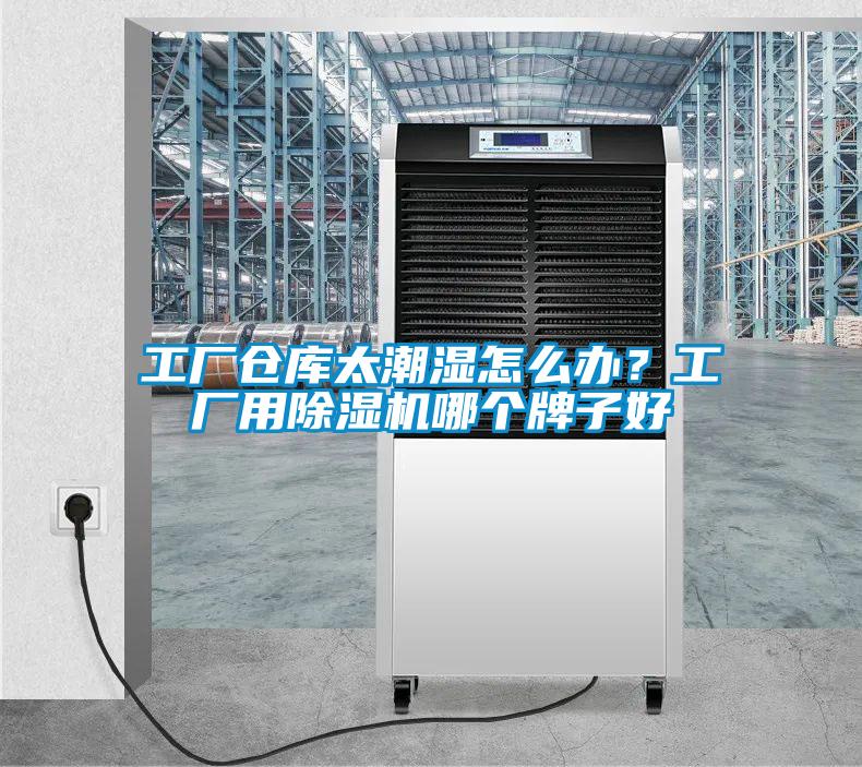 工廠倉庫太潮濕怎么辦？工廠用除濕機(jī)哪個牌子好