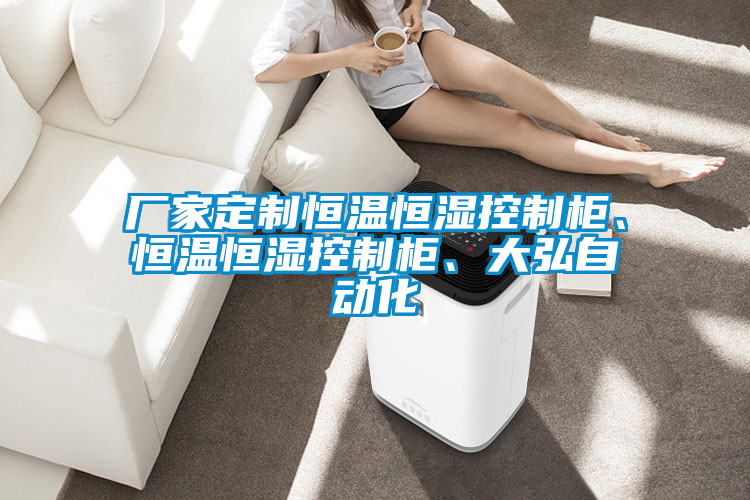 廠家定制恒溫恒濕控制柜、恒溫恒濕控制柜、大弘自動(dòng)化