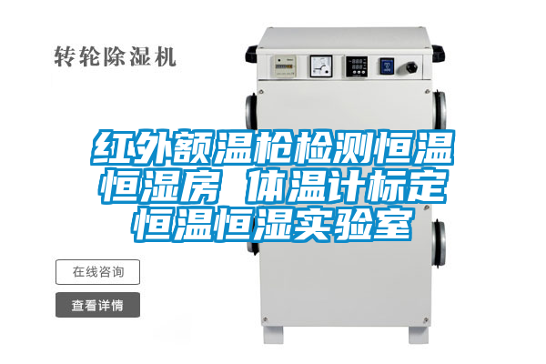 紅外額溫槍檢測恒溫恒濕房 體溫計(jì)標(biāo)定恒溫恒濕實(shí)驗(yàn)室