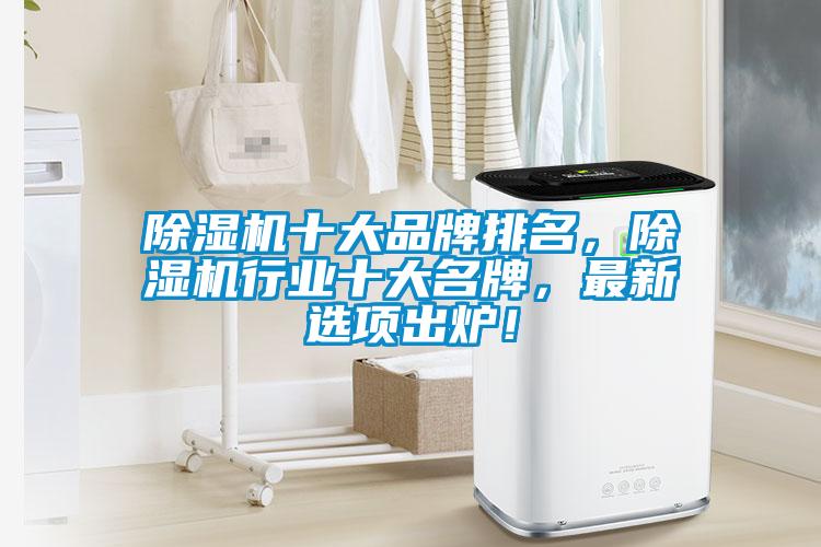 除濕機(jī)十大品牌排名，除濕機(jī)行業(yè)十大名牌，最新選項(xiàng)出爐！