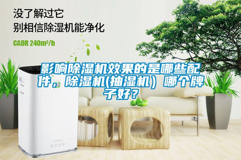 影響除濕機效果的是哪些配件，除濕機(抽濕機）哪個牌子好？