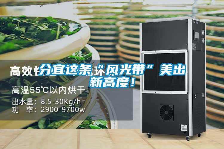 分宜這條“風(fēng)光帶”美出新高度！