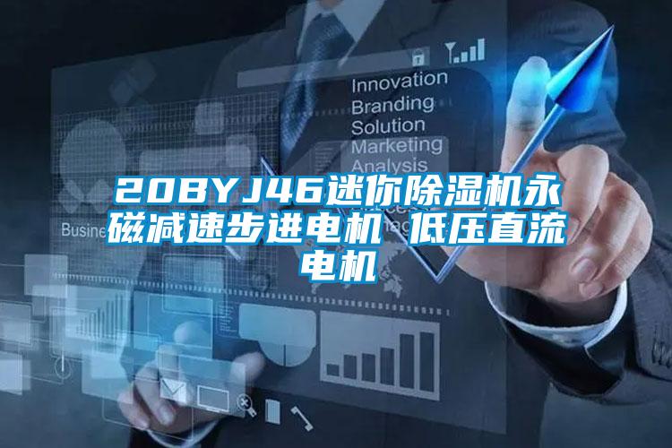 20BYJ46迷你除濕機永磁減速步進(jìn)電機 低壓直流電機