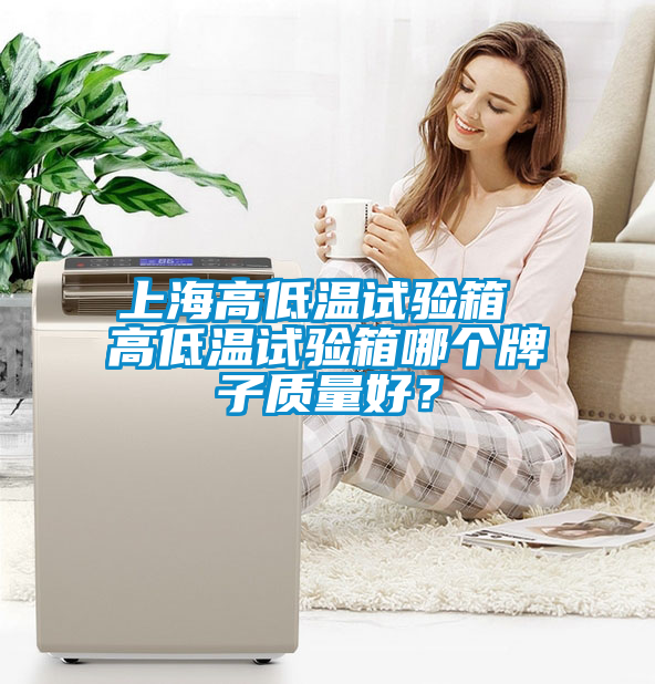 上海高低溫試驗箱 高低溫試驗箱哪個牌子質(zhì)量好？