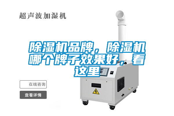 除濕機品牌，除濕機哪個牌子效果好，看這里