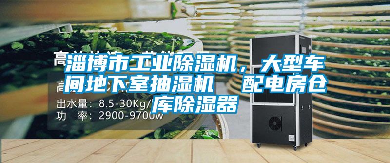 淄博市工業(yè)除濕機(jī)，大型車間地下室抽濕機(jī)  配電房倉(cāng)庫(kù)除濕器