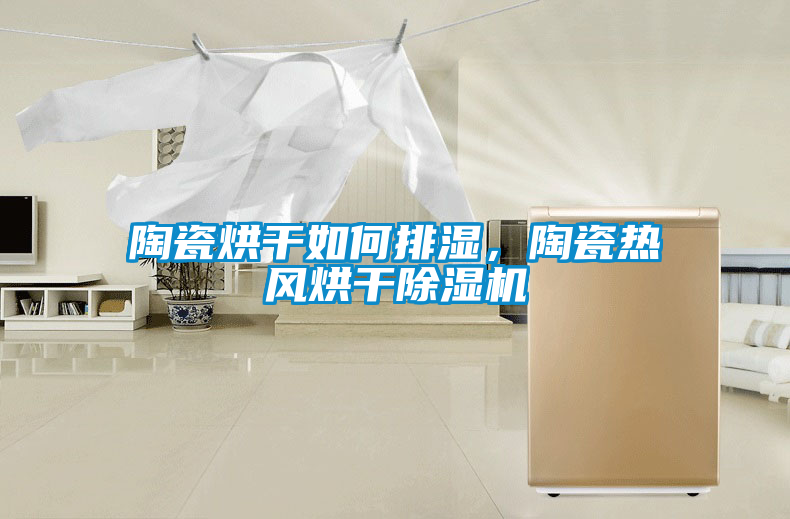 陶瓷烘干如何排濕，陶瓷熱風烘干除濕機