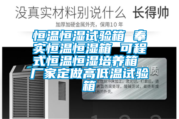 恒溫恒濕試驗(yàn)箱 奉實(shí)恒溫恒濕箱 可程式恒溫恒濕培養(yǎng)箱 廠(chǎng)家定做高低溫試驗(yàn)箱