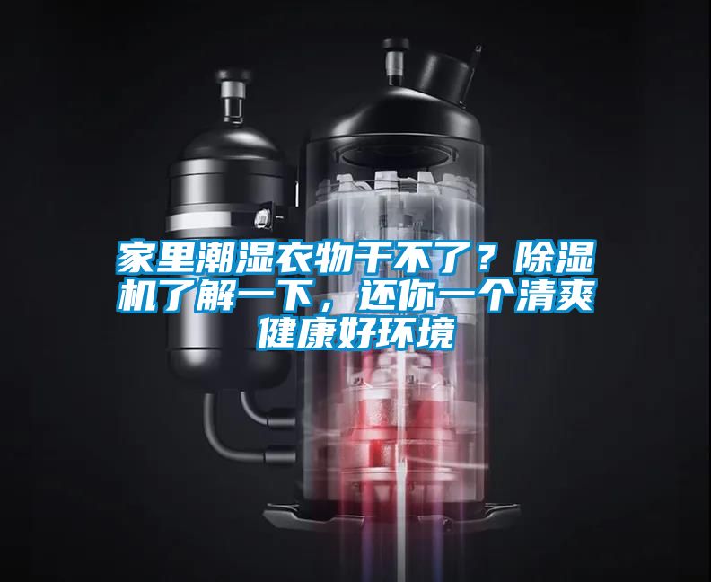 家里潮濕衣物干不了？除濕機(jī)了解一下，還你一個(gè)清爽健康好環(huán)境