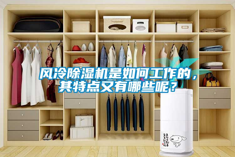 風(fēng)冷除濕機(jī)是如何工作的，其特點(diǎn)又有哪些呢？