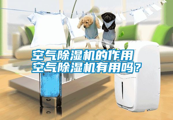 空氣除濕機的作用 空氣除濕機有用嗎？