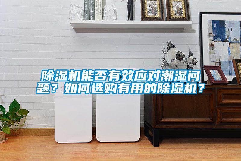 除濕機能否有效應(yīng)對潮濕問題？如何選購有用的除濕機？