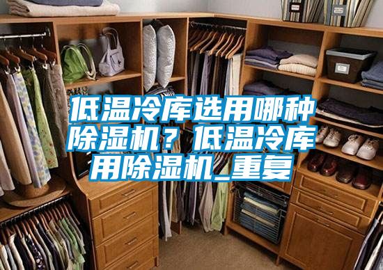 低溫冷庫(kù)選用哪種除濕機(jī)？低溫冷庫(kù)用除濕機(jī)_重復(fù)