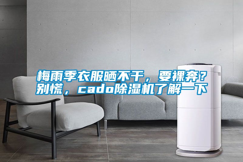 梅雨季衣服曬不干，要裸奔？別慌，cado除濕機(jī)了解一下