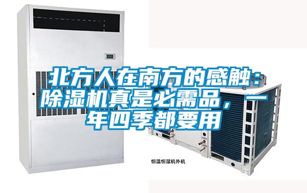 北方人在南方的感觸：除濕機(jī)真是必需品，一年四季都要用