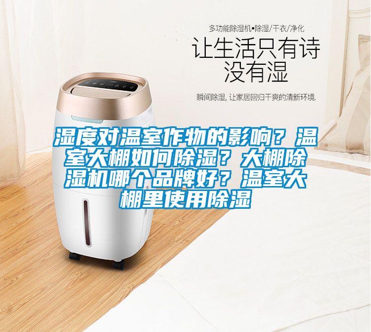 濕度對溫室作物的影響？溫室大棚如何除濕？大棚除濕機哪個品牌好？溫室大棚里使用除濕